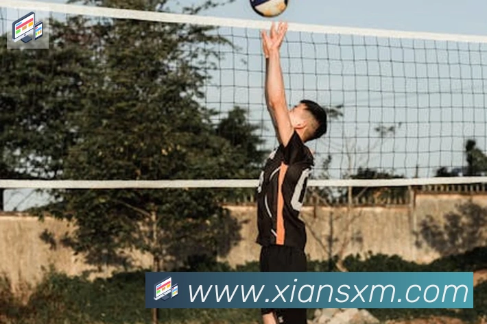 必一体育官网荣誉